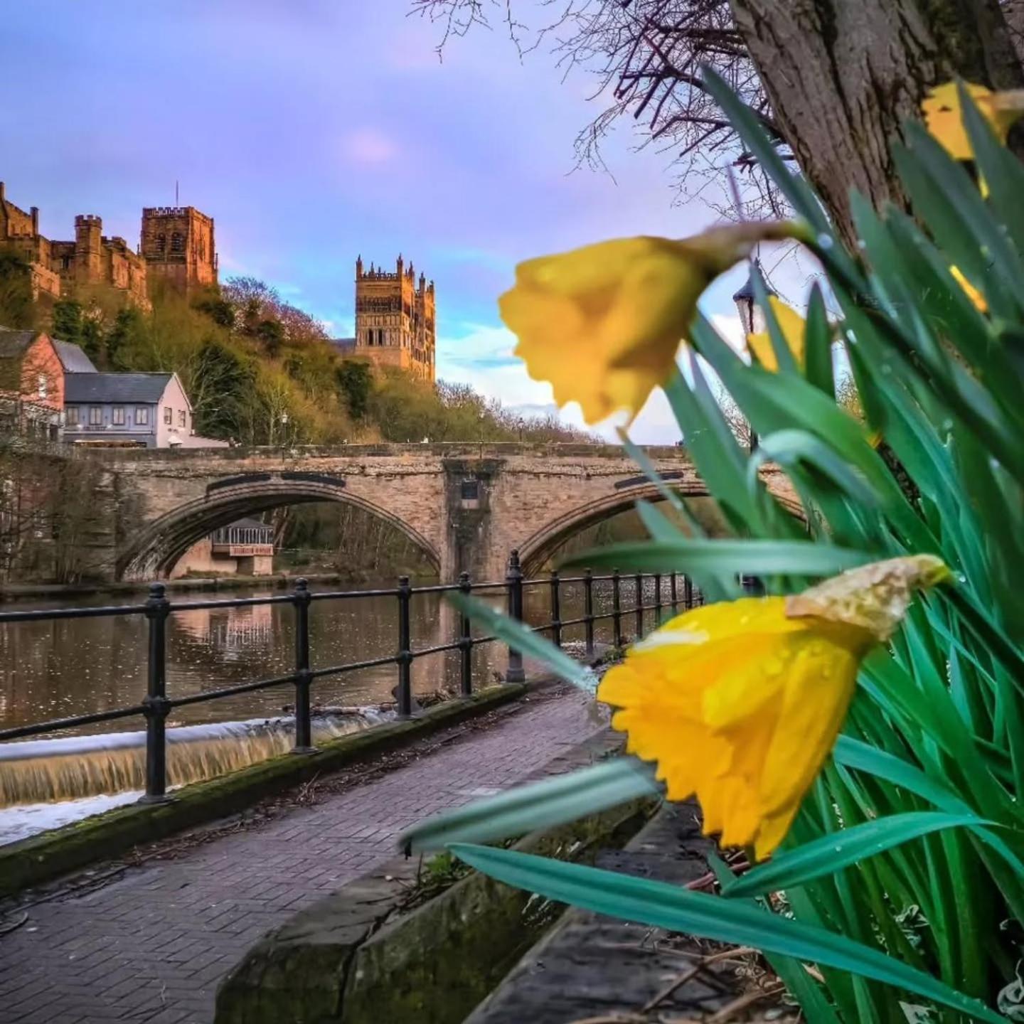 Durham Stays - The Mayor 외부 사진